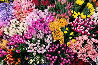 克苏鲁纯爱视觉小说《爱的吸盘：第一次约会》 现已在Steam平台发售