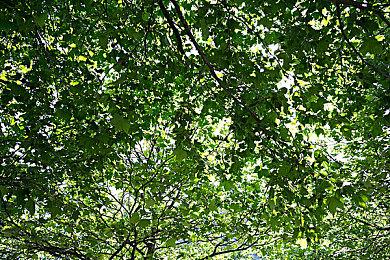 Fami通新一周销量榜 《马里奥高尔夫：超级冲冲冲》登顶