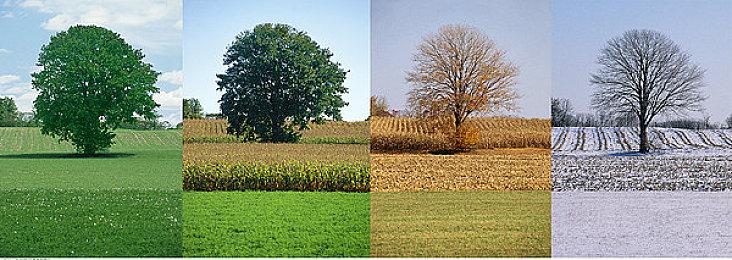 《骑马与砍杀2：霸主》现已支持创意工坊 正式版10月25日上线